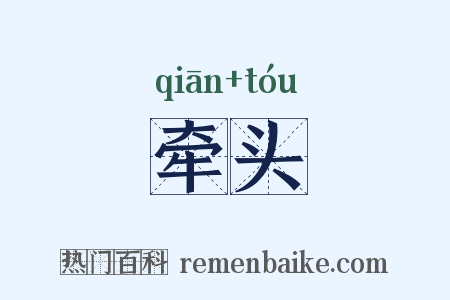 牵头是什么意思的图片